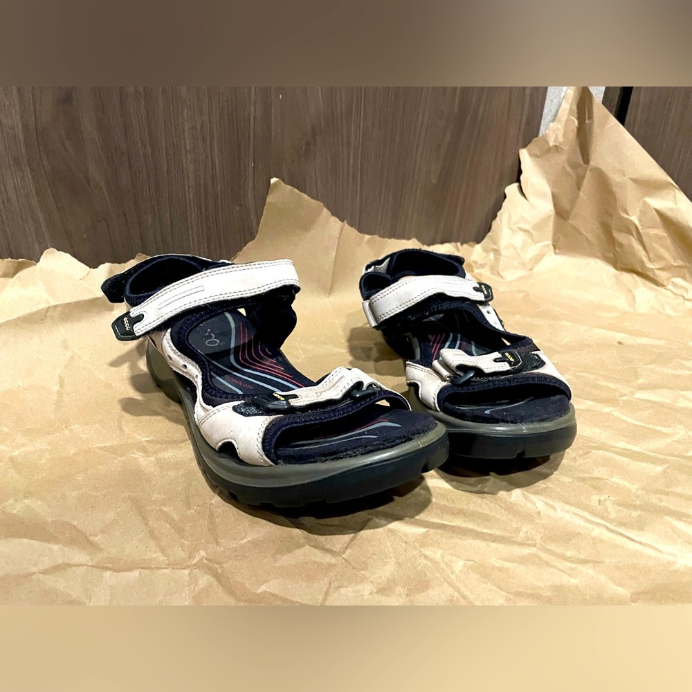 Ecco Hiking Sandals